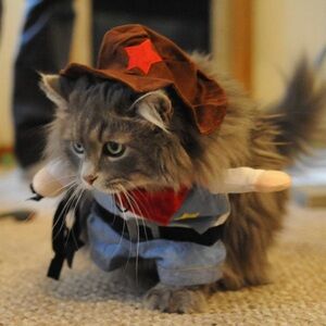 Cowboy/Sheriff Costume for Cats & Small Dogs